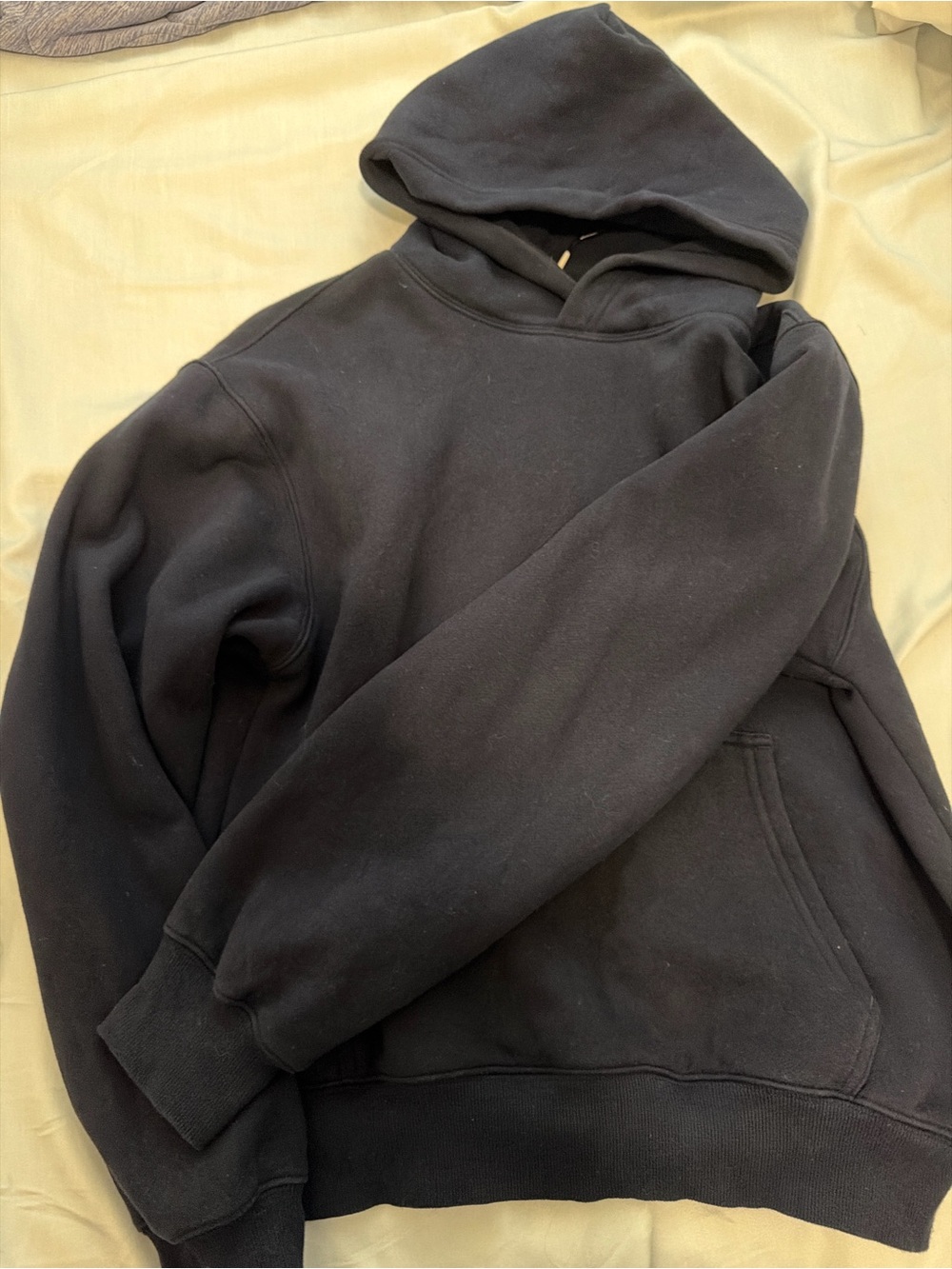Aritzia hoodie